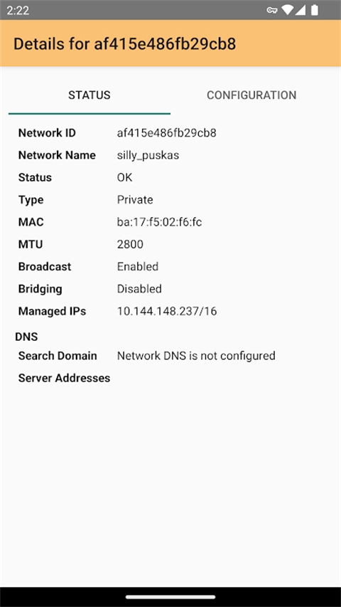 虚拟局域网工具下载_ZerotierOnev1.16.01安卓版免费app下载