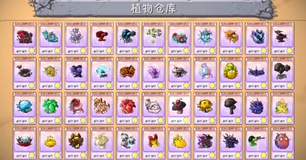 西西软件