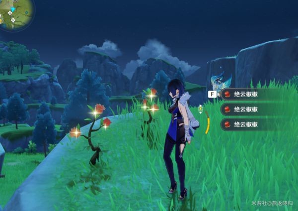 西西软件
