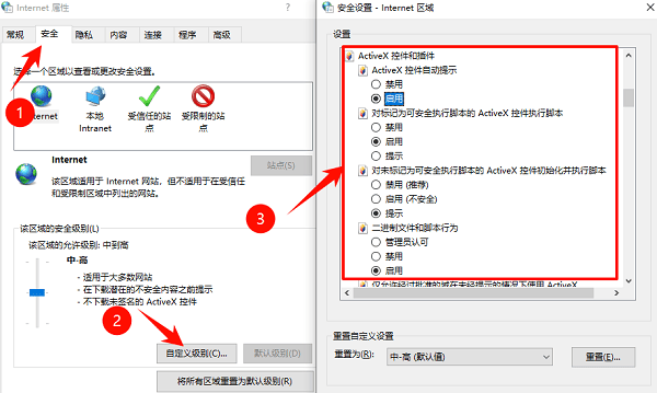 检查 Internet Explorer ActiveX 设置