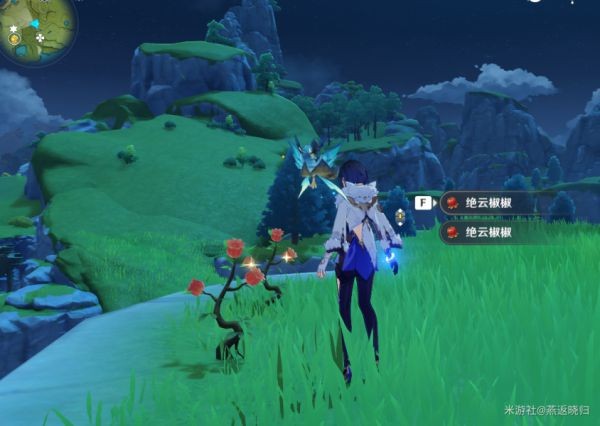 西西软件