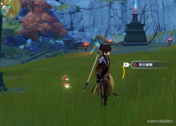西西软件