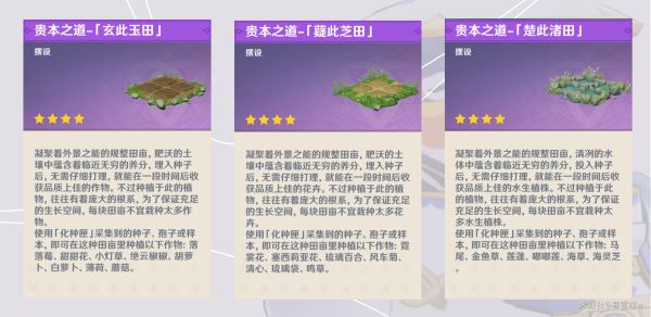 西西软件
