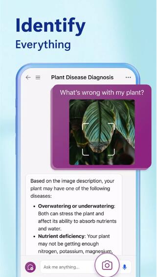 必应国际版下载_微软必应国际版v32.2.430730004安卓版免费app下载
