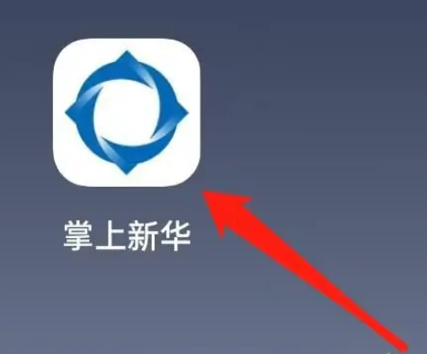 掌上新华保险如何查询保单_新华保险保单查询