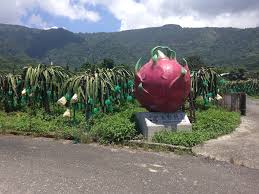 最新农夫导航地址大！点击获取！_农夫导航永久地址