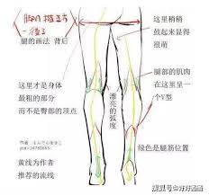 大腿萌：网络新潮审美趋势解析_大腿萌