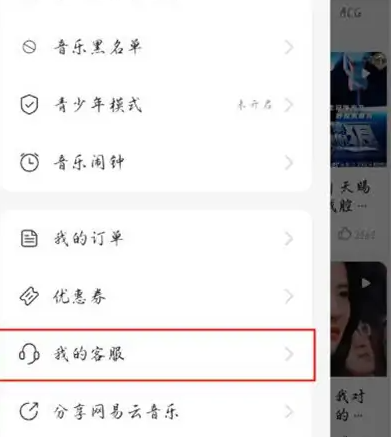 网易云音乐如何看年度报告_网易云音乐年度报告怎么看