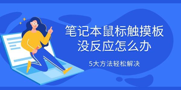 笔记本鼠标触摸板没反应怎么办 5大方法轻松解决
