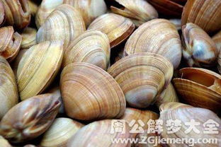 网络热梗：蛤龟究竟是什么意思?蛤龟