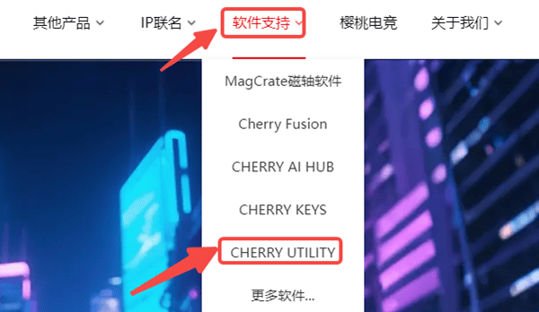 下载安装樱桃键盘驱动