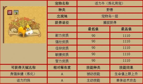 天书奇谈炼化专用宠物有哪些_天书奇谈刀枪不入