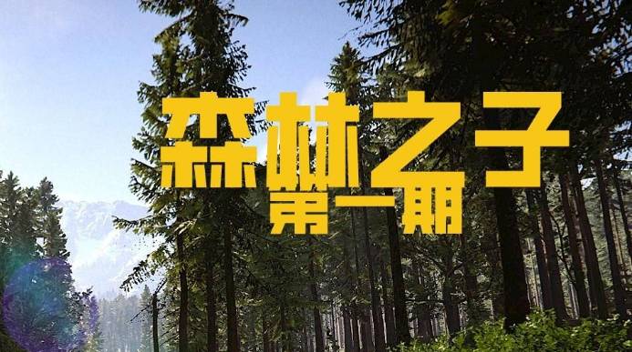 森林之子多少钱?森林之子多少钱