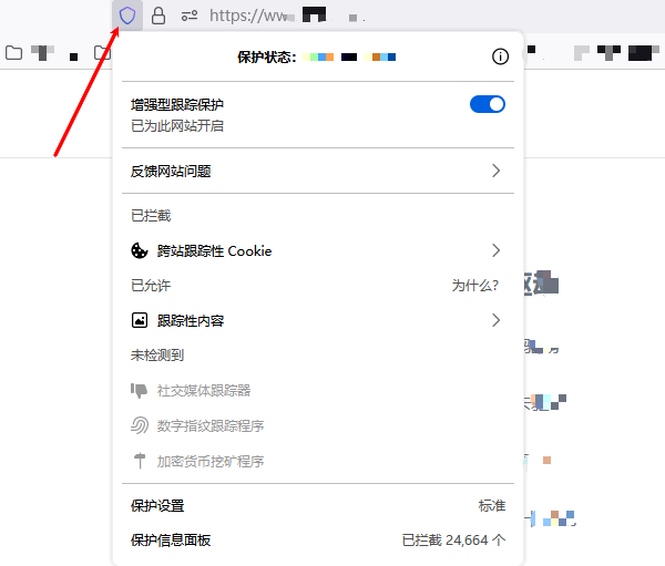 手动加载被阻止的内容