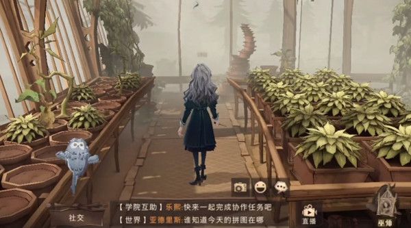 哈利波特魔法觉醒成熟的米布米宝拼图在哪_成熟的米布米宝