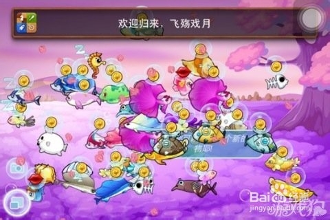 开心水族箱如何开挂_开心水族箱外挂