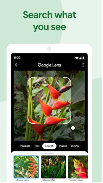 GOOGLE相册下载_google相册最新版v7.56.0.840348406安卓版免费app下载