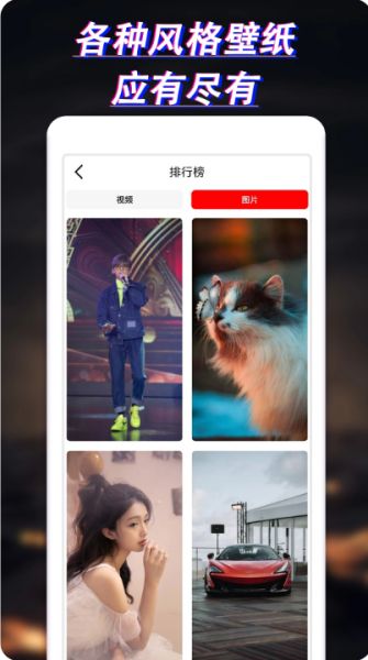 布丁桌面壁纸下载_布丁壁纸大全v1.0.0官方安卓版推荐下载