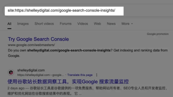 干货！什么是收录? 如何提交谷歌收录?