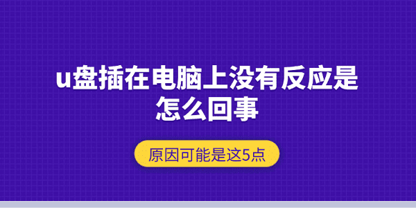 u盘插在电脑上没有反应是怎么回事 原因可能是这5点