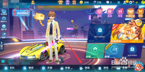 qq飞车手游宠物功能?qq飞车手游为什么可以带两个宠物?_宠物浮元子