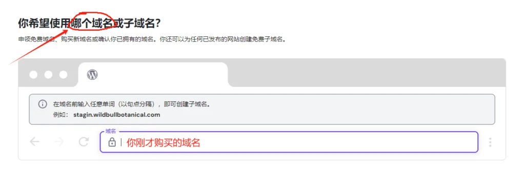 NameCheap新手完整指南 ：域名半价注册购买＋后台设定