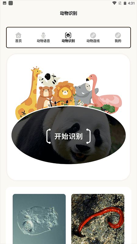 动物世界全集下载_动物世界i官方版v2.1安卓手机版软件下载