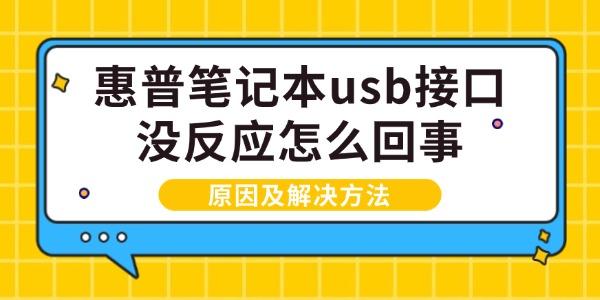 惠普笔记本usb接口没反应怎么回事
