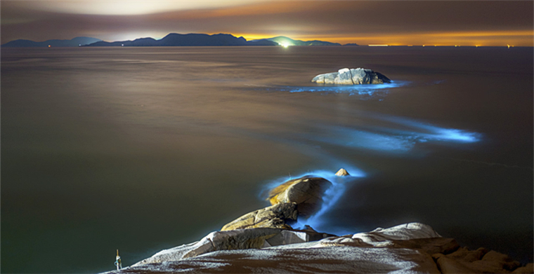 后续影响：超过830亿美元！苏伊士运河大堵塞反应链，运力损失20%-30%，全球港口拥堵或加重，运费率和各种附加费将上涨