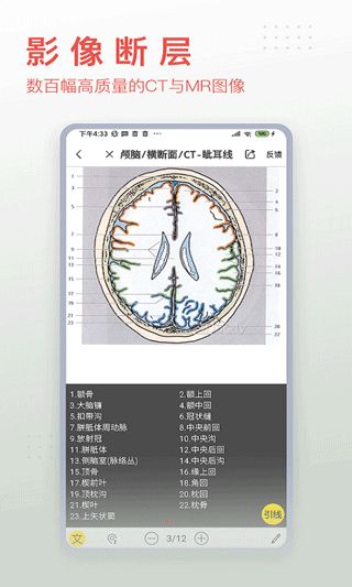 3DBODY解剖下载_3Dbody解剖v8.8.63安卓版免费下载
