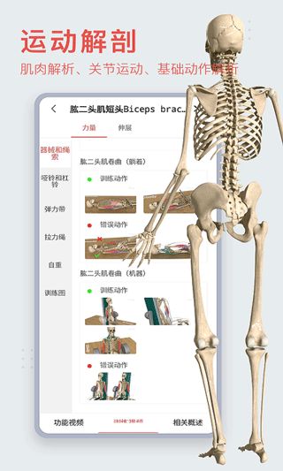3DBODY解剖下载_3Dbody解剖v8.8.63安卓版免费下载