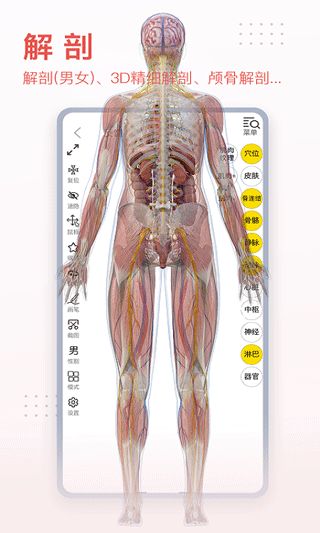 3DBODY解剖下载_3Dbody解剖v8.8.63安卓版免费下载