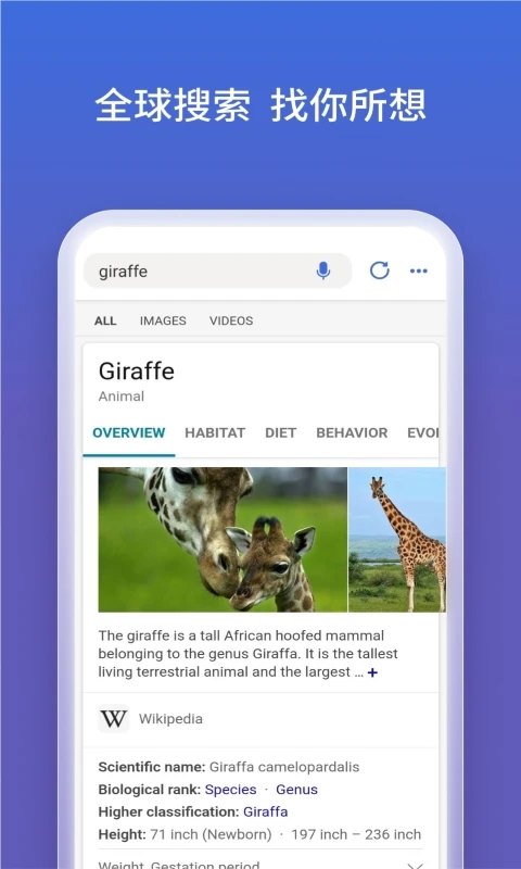 必应搜索下载_微软必应v32.6.2110003561安卓版免费app下载