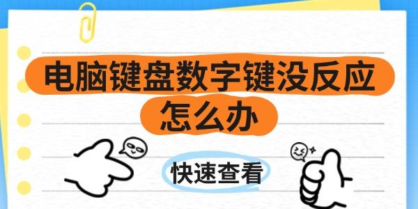 电脑键盘数字键没反应怎么办