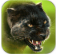 猎豹模拟 v1.2app_猎豹模拟器OL游戏下载