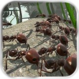 蚂蚁模拟v2.5.2软件下载_蚂