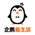 企鹅最生活v2.4.3免费app下载_企鹅最生活app下载