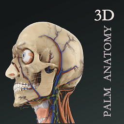 掌上3d解剖appapp_掌上3d解剖软件下载